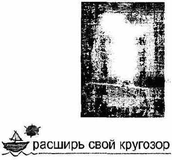 Информатика. Систематический курс